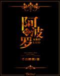 [综]阿波罗[综]阿波罗